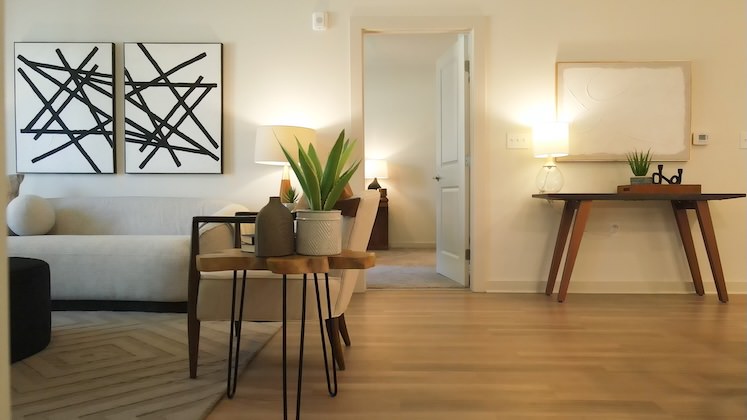 The Search For The Perfect Apartment Image 5