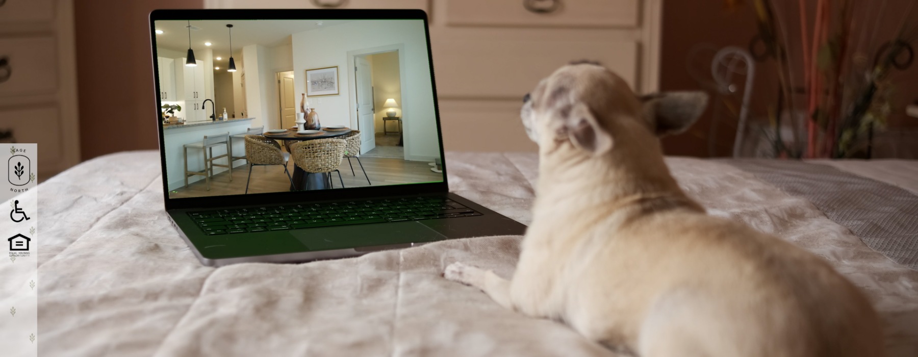 A dog watches a video tour of an apartment home