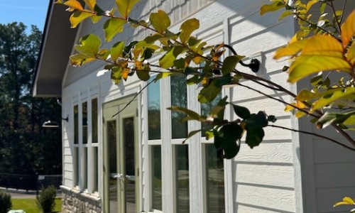 Elegant Storefront Cover Image