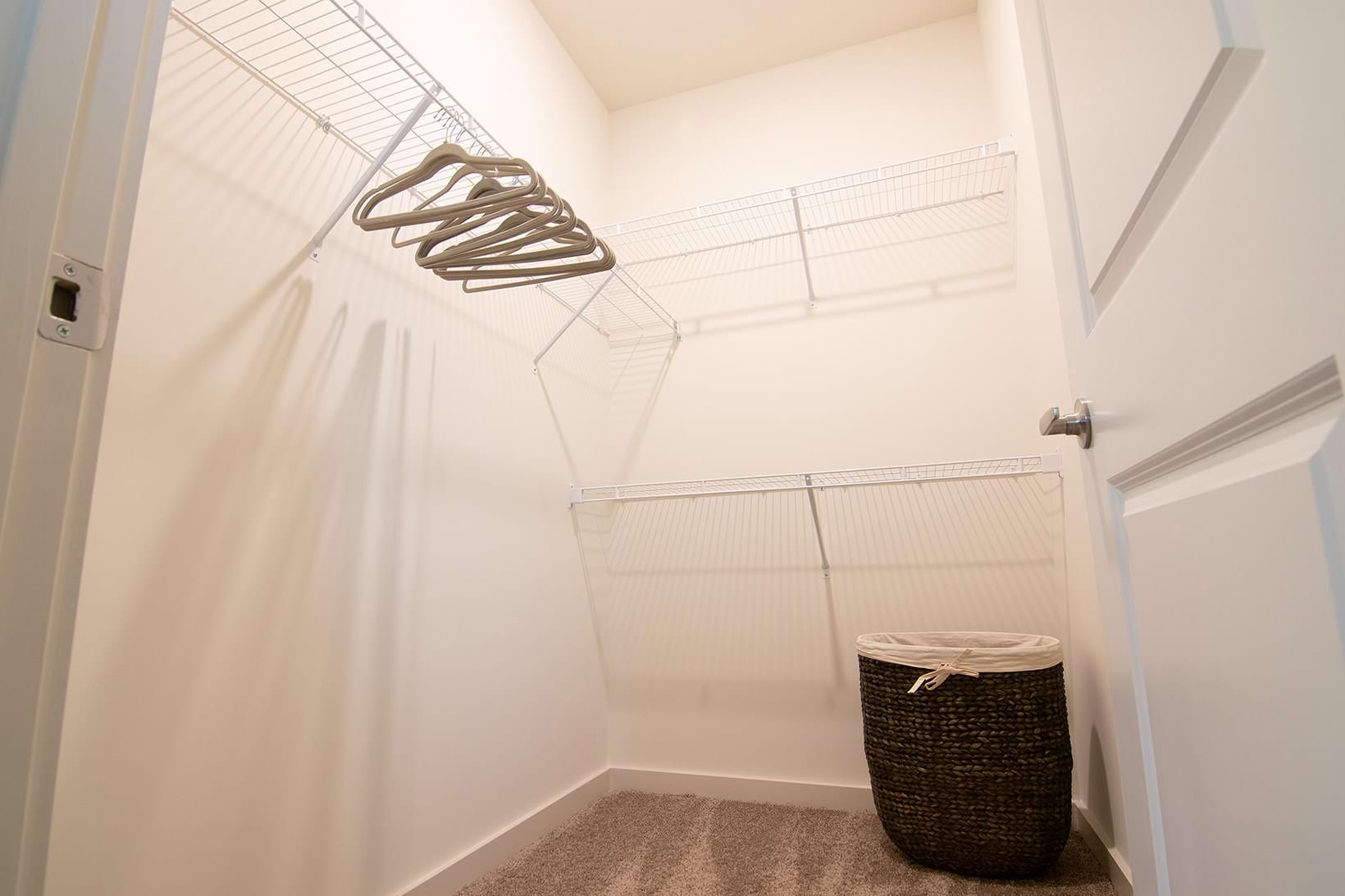 carpeted walk-in closet with light